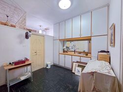 Happy Avenue Central (D13), Semi-Detached #542377551